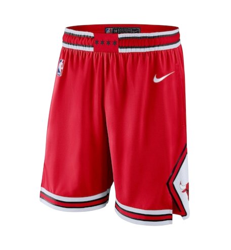 Pantalón Corto Chicago Bulls Icon 24/25