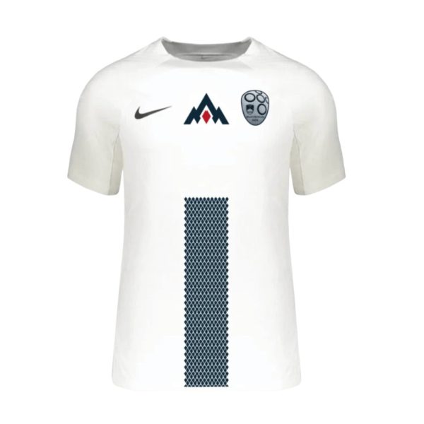 Camiseta Eslovenia Eurocopa 2024 1ª equipación