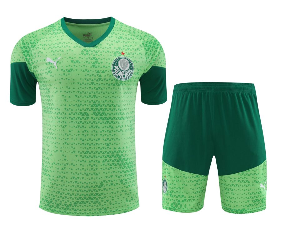 Conjunto de calentamiento Palmeiras verde