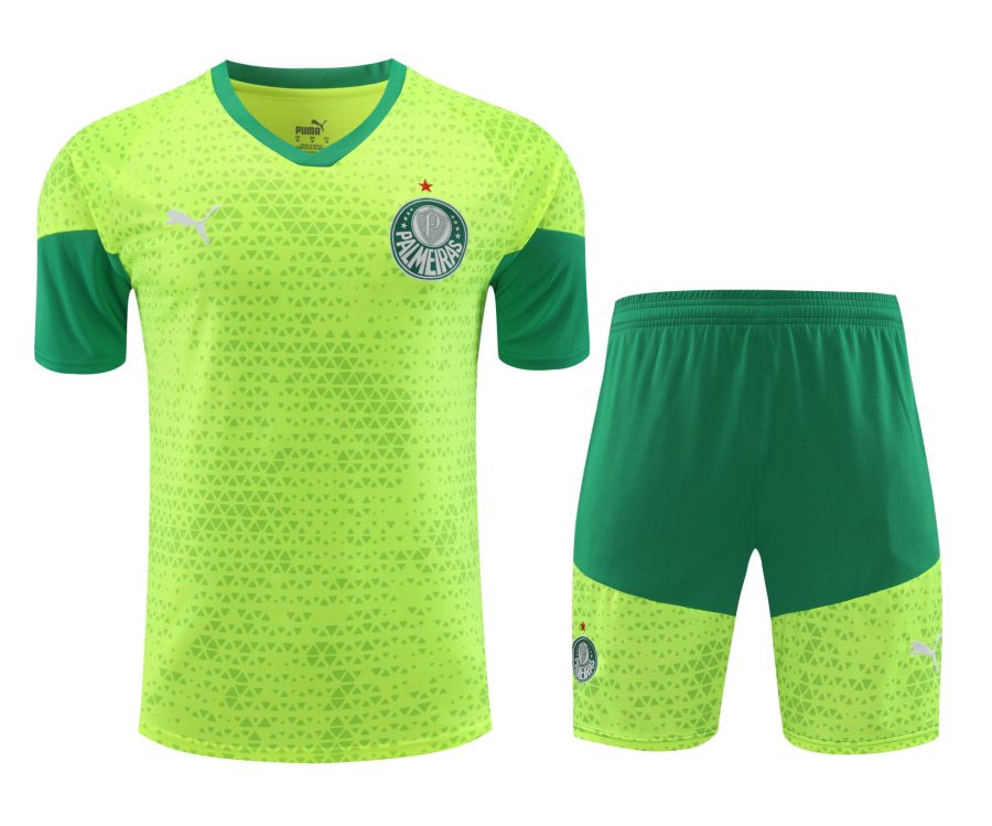 Conjunto de calentamiento Palmeiras verde claro